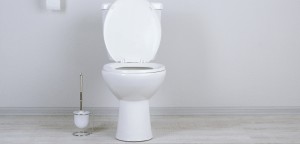 Toilet Installation & Repair in Frederick County, MD